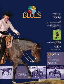 Aint it the Blues