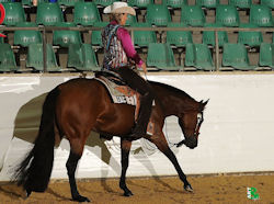 NSBA & DQHA QUARTER HORSE FUTURITY & MATURITY 2013